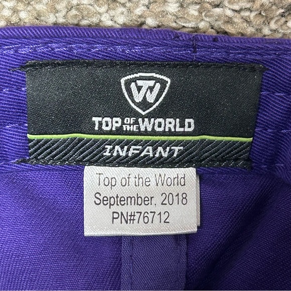 TCU Horned Frogs Top Of The World Lil’ Frog Hat - Picture 5 of 5